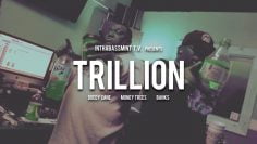 Money Treez f/ Doedy Cane & Bank$ – TRILLION (Official Video) 🎥 @InThaBassmintTv 📺